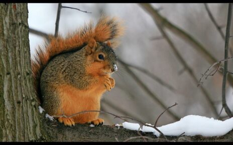 wypoczynek zimową porą